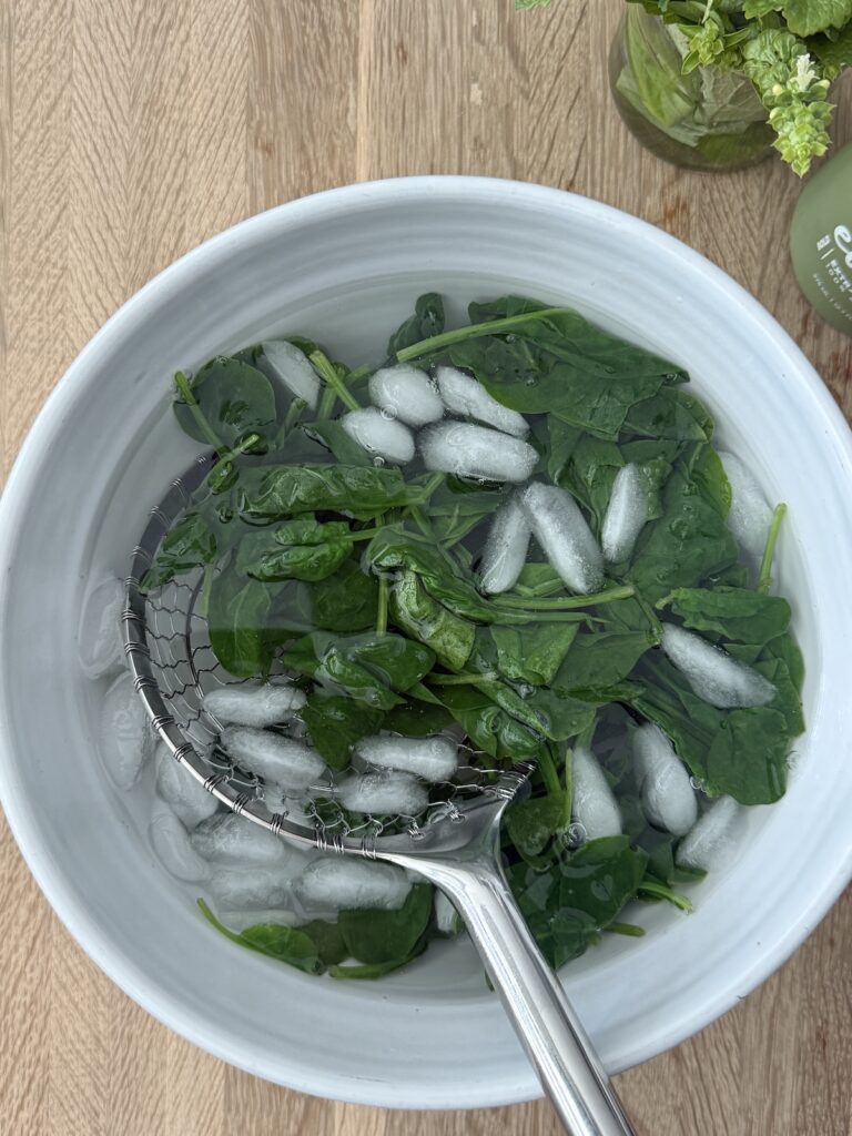 Fresh spinach in an ice water bath after blanching, an essential step for making spinach and ricotta gnocchi.